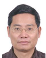 何定阳 副主任医师