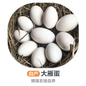 自养丨博瑞生态园雁蛋5枚