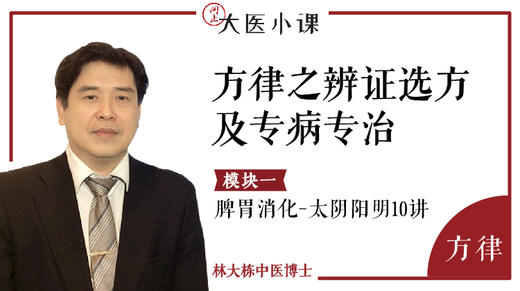 [方律]-辨证选方及专病专治：脾胃消化_太阴阳明10讲 商品图0