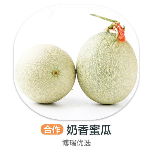 奶香蜜瓜（约3.8斤） 商品图0