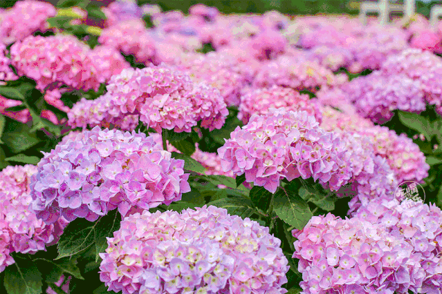 639_426gif 动态图 动图