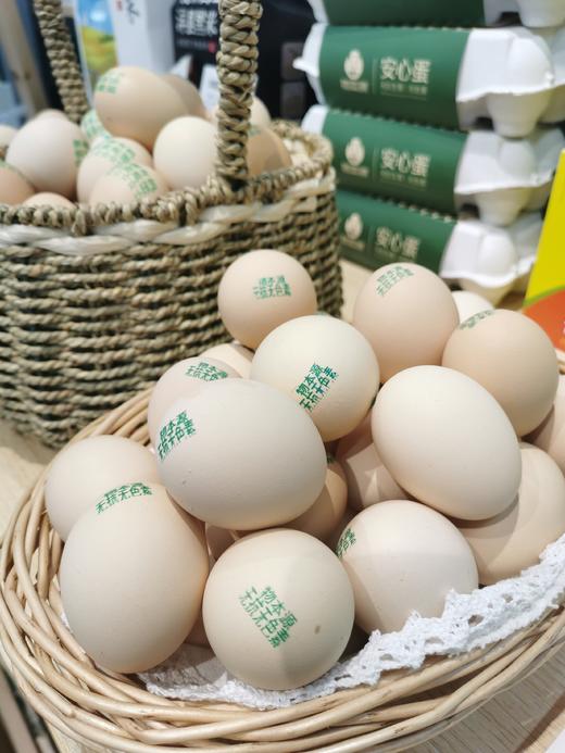 物本源精选无抗鸡蛋10枚装 商品图0