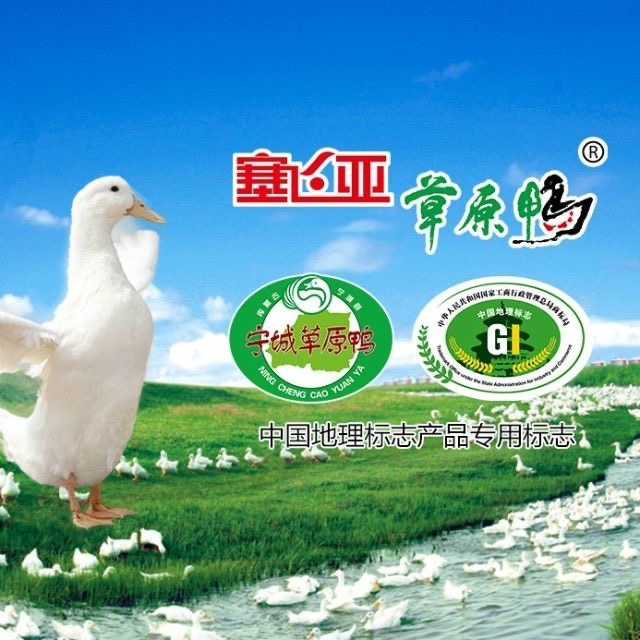 店铺logo
