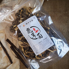 城乡志富 鹿茸菌80g