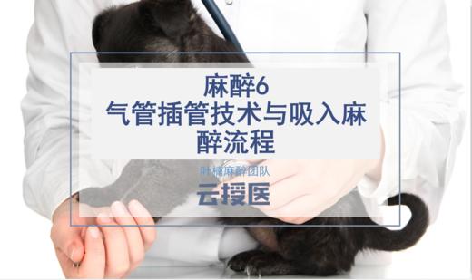 麻醉学系列课程6 商品图0