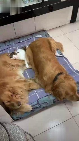 大家一起挤挤更有爱