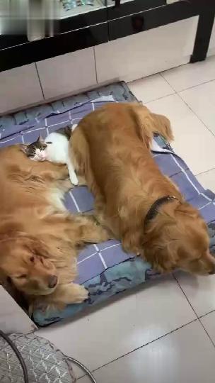 大家一起挤挤更有爱 商品图0