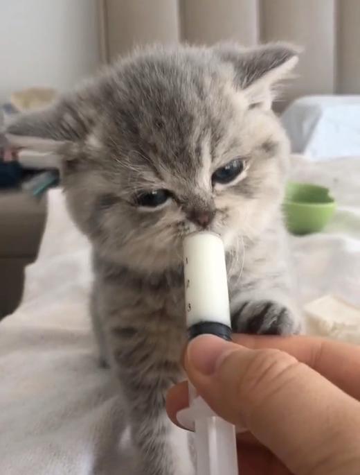 喝奶奶 商品图0