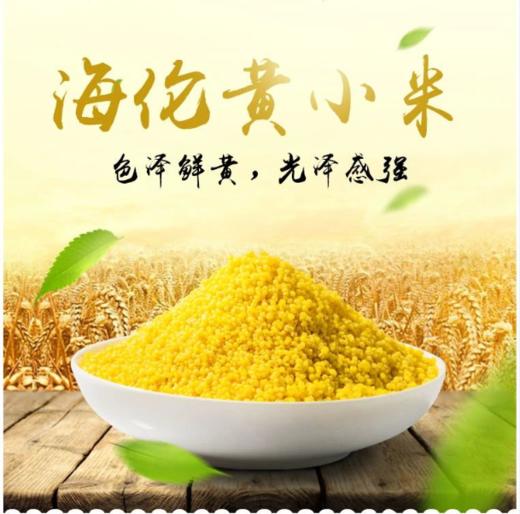 海伦县半亩田/冰雪良田黄小米3kg 商品图0