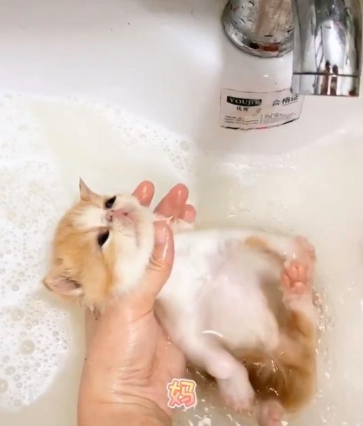 小乖乖洗澡澡 商品图0