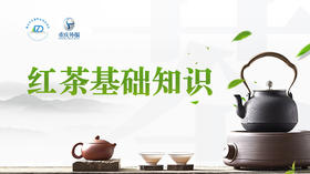 第6节课-红茶基础知识