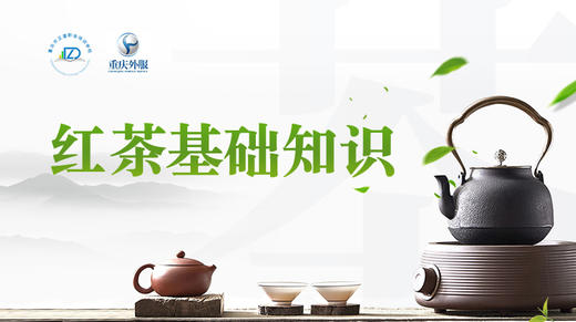 第6节课-红茶基础知识 商品图0