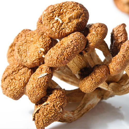 十方优品 滑子菇70g 商品图2