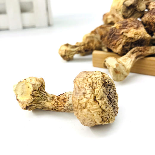 十方优品 姬松茸100克 商品图3