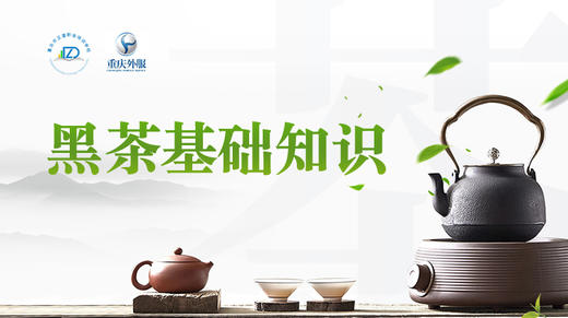 第10节课-黑茶基础知识 商品图0
