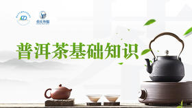 第7节课-普洱茶基础知识