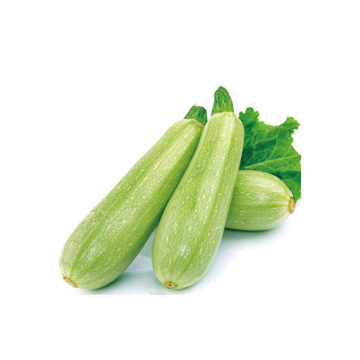 西葫芦500—600克（±50g） 商品图0
