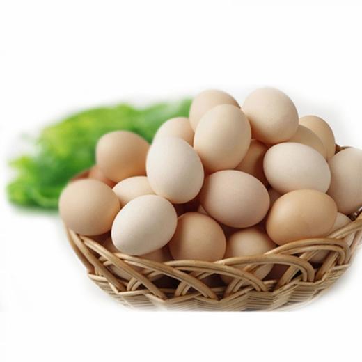 农家鸡蛋 10个装 商品图0