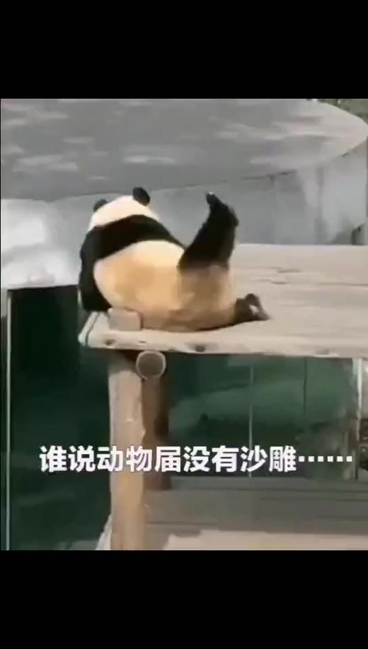 动物界搞笑合集 商品图0