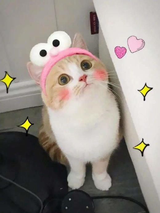 萌宝驾到 商品图0