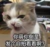 看我多听话 商品缩略图0