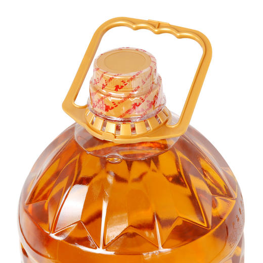 九三花生油食用油压榨浓香 5L 送  芽土哥1.8升玉米油 商品图1