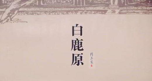 第二十期：《白鹿原》 商品图0