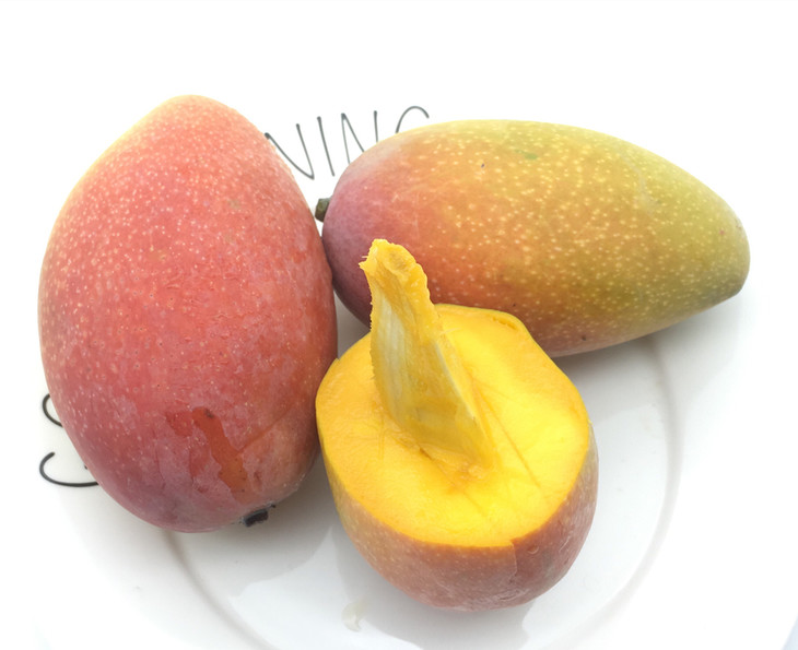 元江树上熟小金凤凰芒果