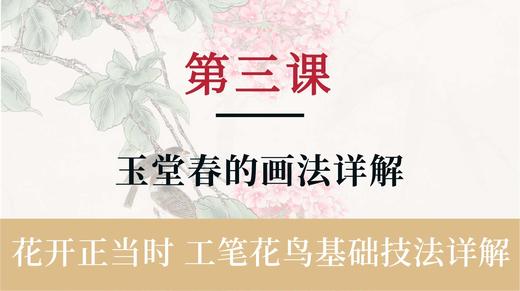 第三课- 工笔画玉堂春画法详解丨杨永权老师 商品图0