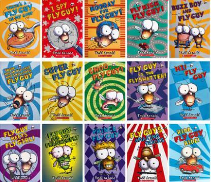 andbuzz英文原版全彩绘本初级章节书shooflyhighmeetsflygirl全套系列