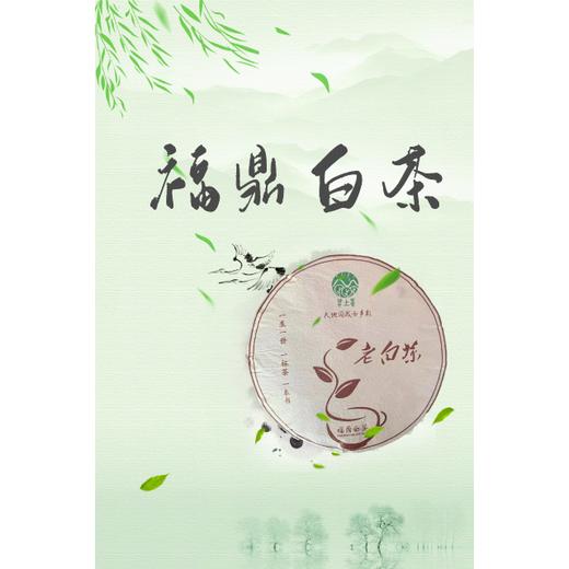 福鼎白茶（箱） 商品图4