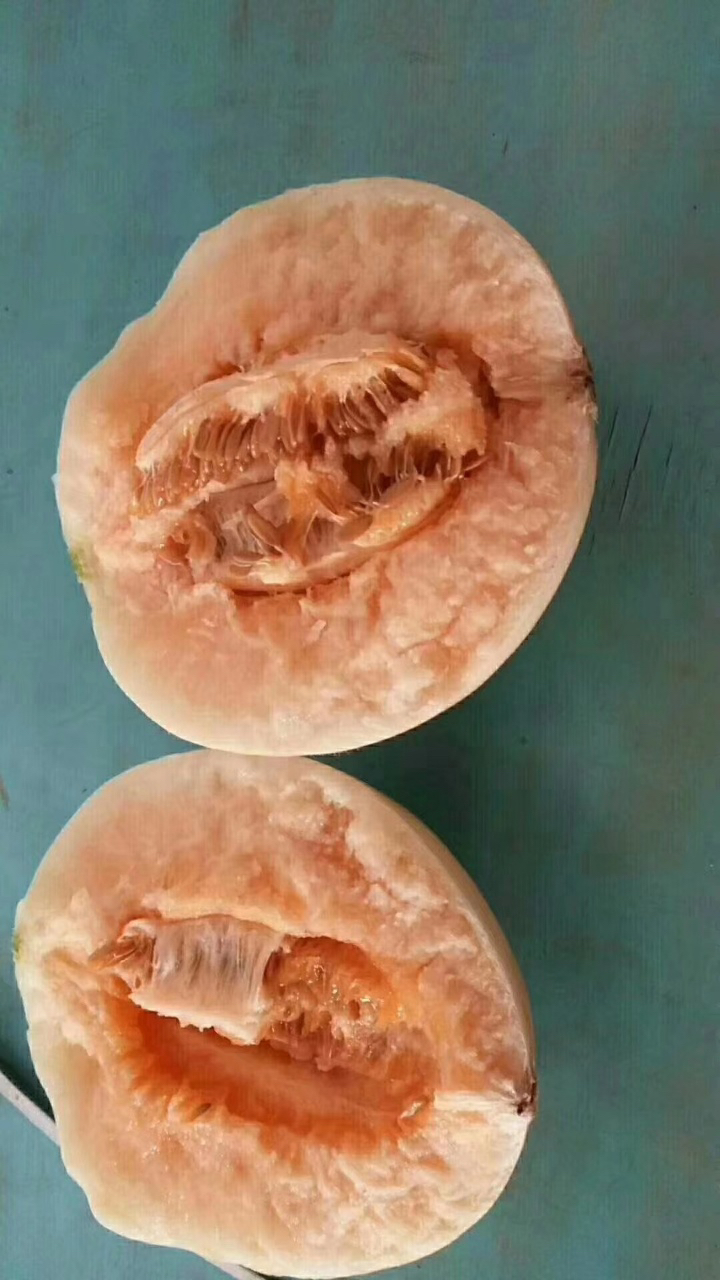 口感硬质沙甜,爽口多汁,有回味,果型浑圆饱满,素有河套甜瓜王子的