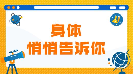 6 我的“食品加工厂” 商品图0