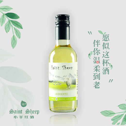 小羊红酒（187ml） 商品图2