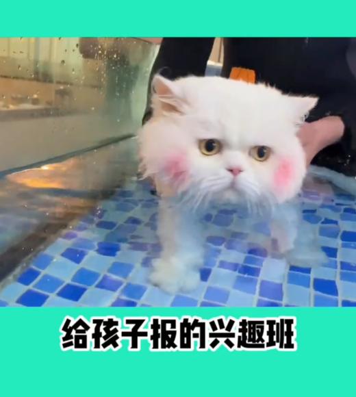 报个兴趣班呀 商品图0