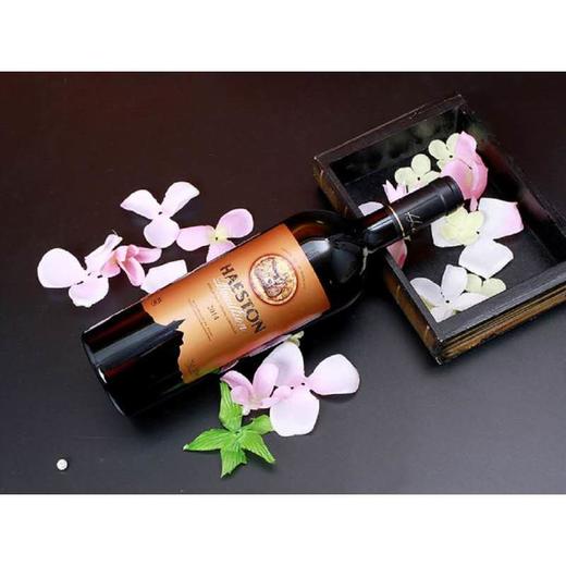 赫斯顿纯金干红葡萄酒 商品图0