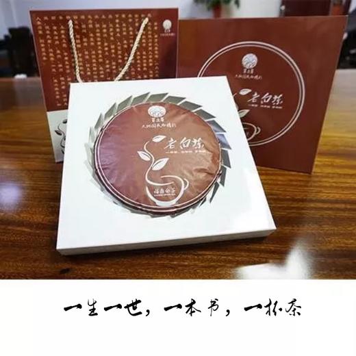 福鼎白茶 商品图2