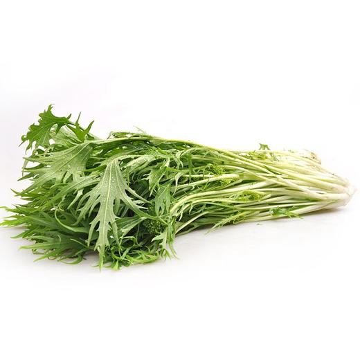 有机水晶菜 商品图0