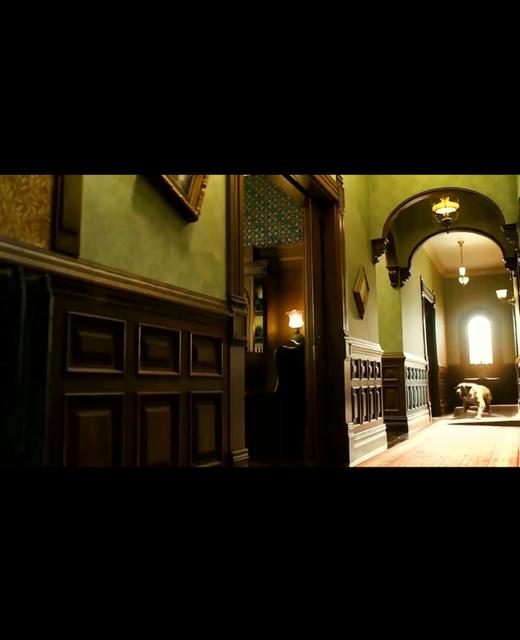 这样叫你起床的狗狗可爱吗 商品图0