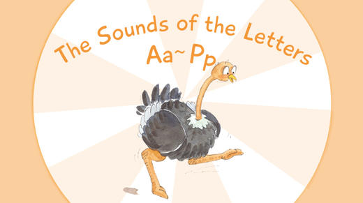 Starter B-9 商品图0