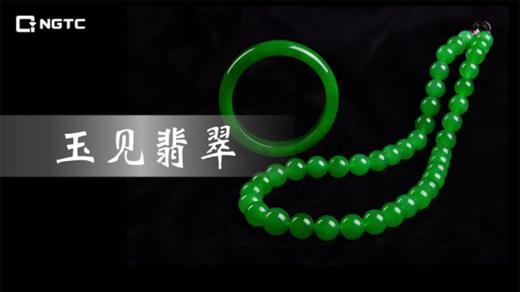10-翡翠的种水 商品图0
