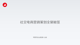 社交电商营销策划全案秘笈