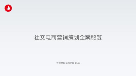 社交电商营销策划全案秘笈 商品图0