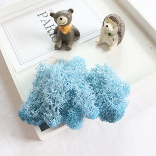 【上手】DIY装饰永生花花材（10克/包） 商品图1