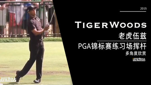 老虎伍兹｜练习场的全系挥杆练习/2015PGA锦标赛 商品图0