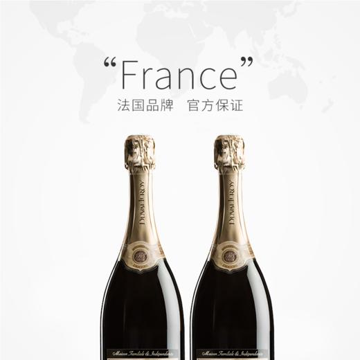 杜洛儿白中白香槟 nv duval-leroy blanc de blancs grand cru brut