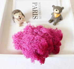 【上手】DIY装饰永生花花材（10克/包）