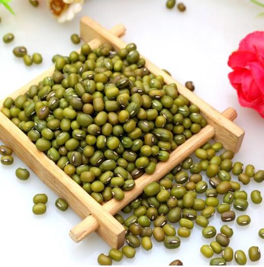 宁夏五谷六盘 绿豆 450g 商品图1