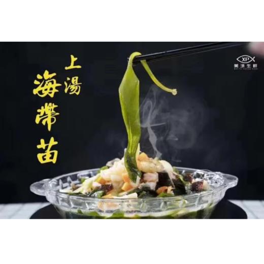 消费扶贫一路同行霞浦海带苗（500克） 商品图0