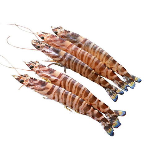 九节虾 商品图0